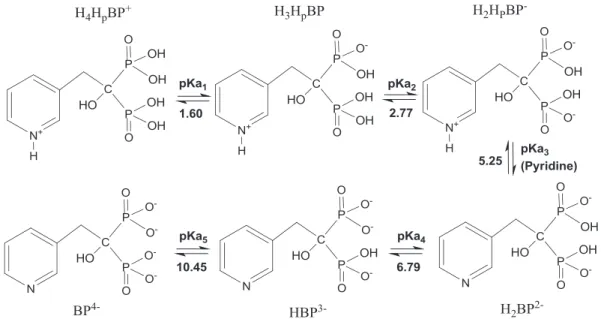 Fig. 11. Chemical structure proposed for the synthesised calcium risedronate salt (Ca 2 BP)
