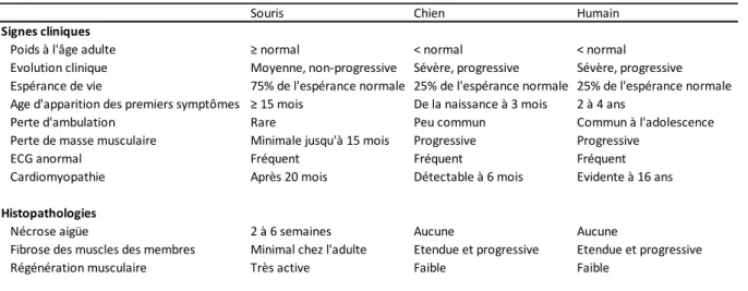 Tableau 1. Comparaison de la sévérité de la dystrophie entre les souris, les chiens et les patients  DMD 