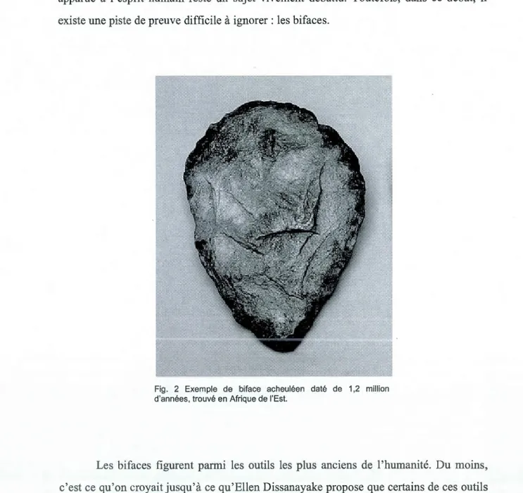 Fig.  2  Exemple  de  biface  acheuléen  daté  de  1,2  million  d'années,  trouvé en  Afrique de  l'Est