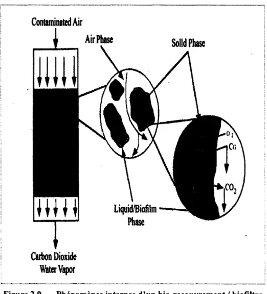 Figure 2.9  Phénomènes internes d’un bio-recouvrement / biofiltre Tiré de  :  (Ardjmand et al., 2005)