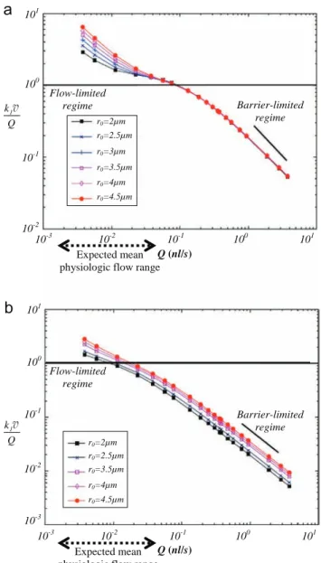 Fig. 7. Renkin–Crone's analysis: parameter k 1 v =Q identiﬁed as a function of ﬂow rate for various capillary radii