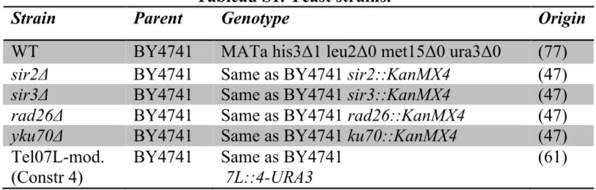 Tableau S1. Yeast strains. 