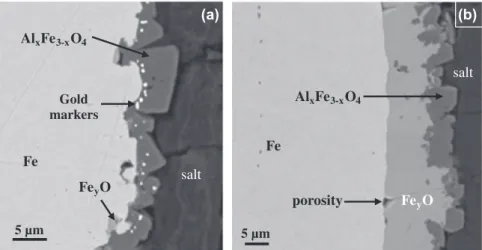 Fig. 5. SEM–BSE micrographs of an iron electrode (cross section) after polarization at 1.2 V/(AlF 3 /Al) for (a) 100 s (3 C) and (b) 350 s (20 C) in the CAM (CR = 2.2; 5 wt.% CaF 2 ; 9 wt.% Al 2 O 3 ; T = 960 °C).