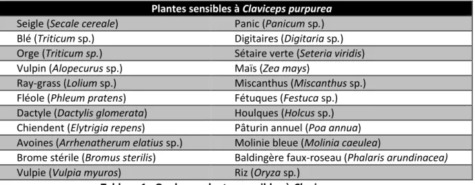 Tableau 1 : Quelques plantes sensibles à Claviceps purpurea 