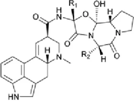 Figure 16 : Structures de l’ergovaline, de l’ergotamine et de la dihydroergotamine  Figure 15 : Structure commune des ergopeptines 