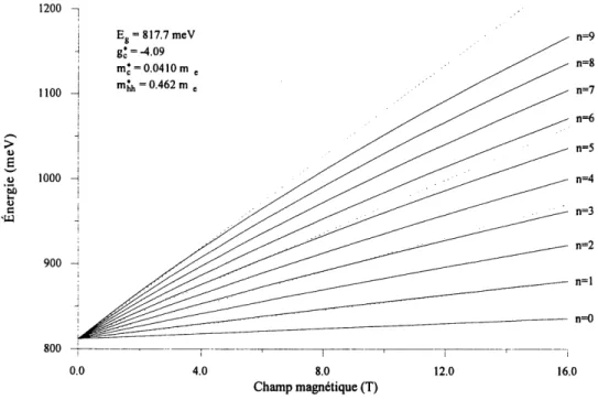 Figure 4 : Diagramme en eventail des niveaux de Landau tels que calcules a 1'aide du modele theorique