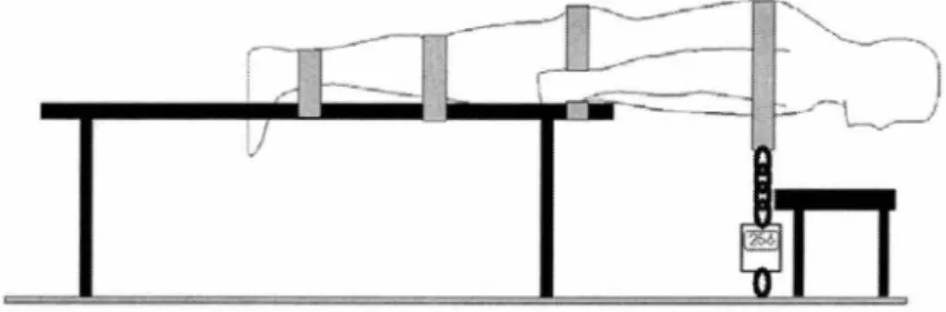 Figure 6 : Illustration du test physique d'évaluation de la force des muscles  extenseurs du tronc 