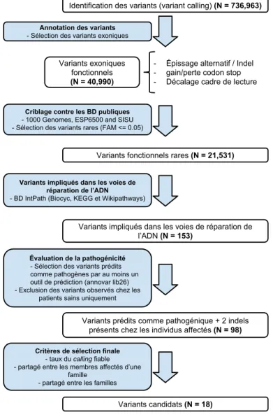Figure 1.10: Processus de priorisation des variants dans le cadre de l'analyse de données WES de familles nlandaises touchées par des cas de cancer du sein héréditaire