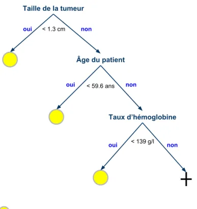 Figure 1.13: Illustration de l'utilisation d'un arbre décisionnel basé sur 3 caractéristiques (la taille de la tumeur, l'âge du patient et le taux d'hémoglobine) avec noyau bayésien pour prédire la récidive du cancer du sein
