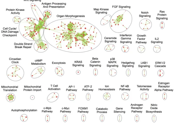 Figure 2.3: Pathway enrichment map for susceptibility loci based on summary association statistics.