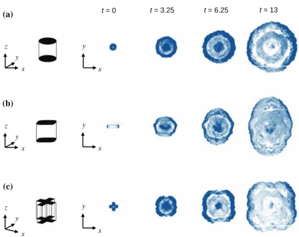 Fig. 2 Temporal evolution of the experimental collapse of a column of salt water with different cross sections at the center of a tank containing fresh water (H/R 0 = 2, Re = 2.8 × 10 4 , ρ c /ρ a = 1.1)