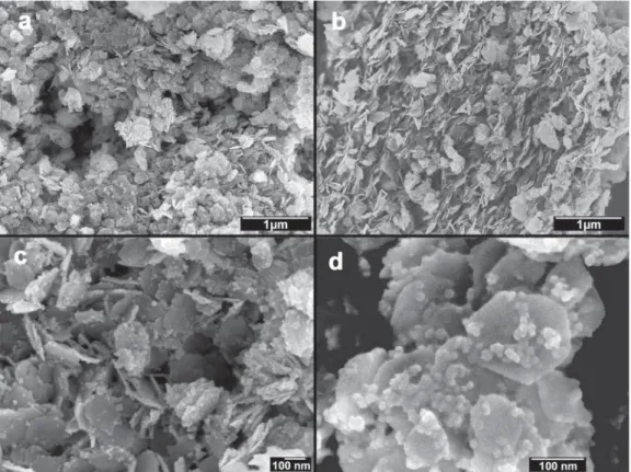 Fig. 4. SEM images of the (a, c, d) SD and (b) ND samples.