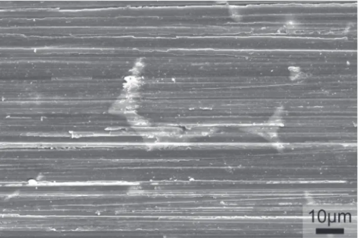 Fig. 18. SEM micrograph of the surface after polishing (#1200) and before pickling.