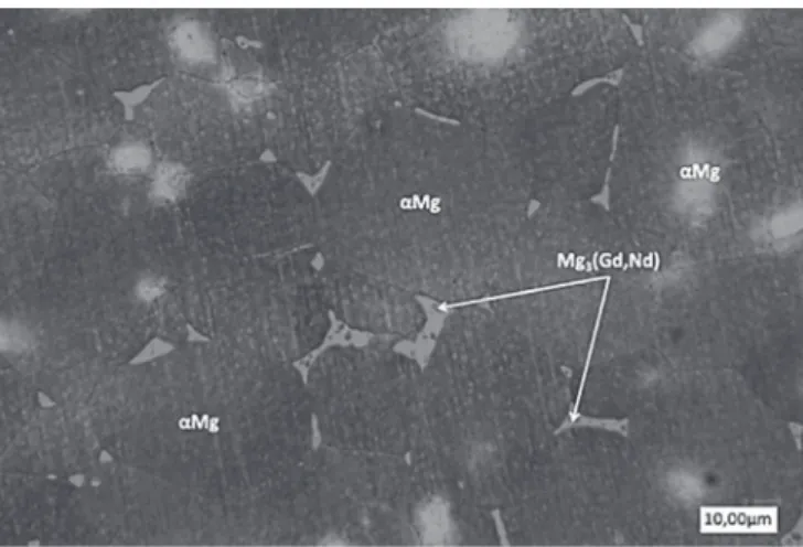 Fig. 1. Optical microscope image of the surface after metallographic etching. Fig. 2. SEM micrograph of the surface after metallographic etching.
