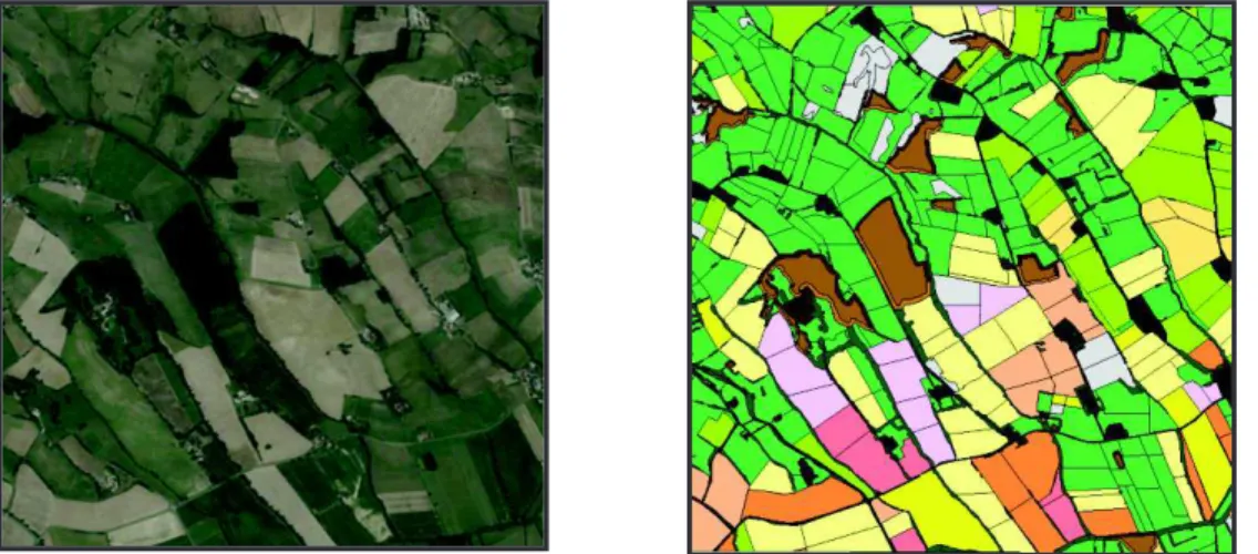 Figure  1  shows  the  landscape  representation  provided  by  the  model  beside  a  satellite  image  of  the  real  landscape