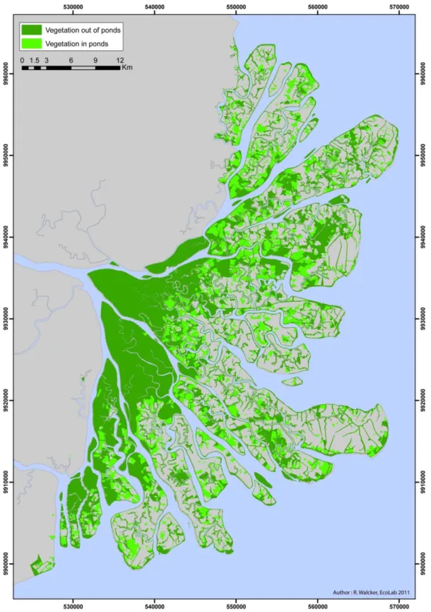 Figure 5 : Mapping of the vegetation cover of the Mahakam Delta in 2011. Dark green represents the  remaining original vegetation cover while light green is the secondary vegetation