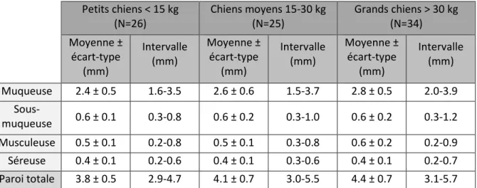 Tableau 5 : Epaisseur des couches de la paroi duodénale chez le chien adulte en fonction du poids, d’après Gladwin (2014) 