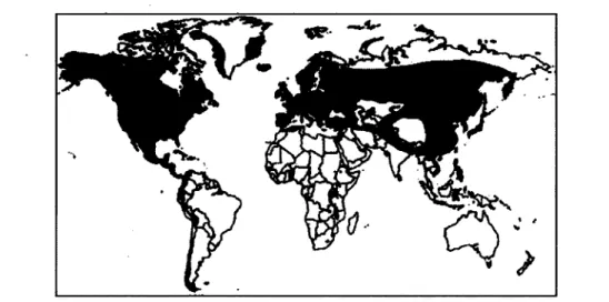 Figure 5. Distribution mondiale des plantes actinorhiziennes de la famille des Betulaceae