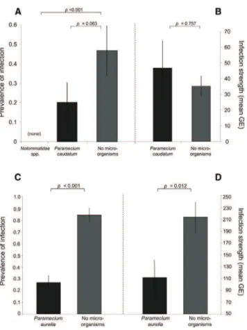 Figure 4. Challenge Experiment under the Influence of Microfauna Number of infected tadpoles (A and C) and intensity of infection (B and D) of Discoglossus scovazzi tadpoles exposed repeatedly to Bd zoospores and cohoused with Notommatidae spp