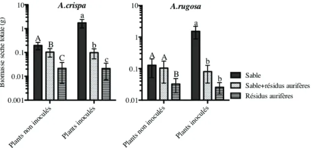 Figure 3 : Influence du substrat sur la biomasse des plants d’aulnes ayant été inoculés ou  non avec Frankia