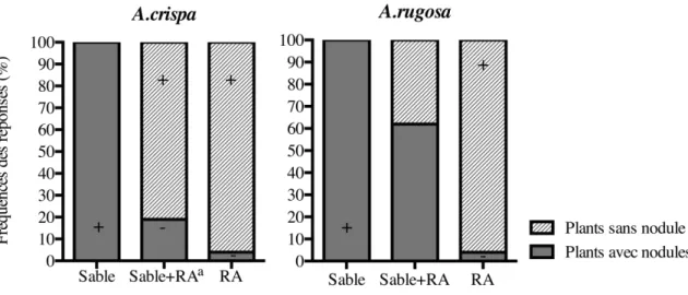 Figure 4 : Influence du substrat sur la nodulation des plants de A. crispa et de A. rugosa