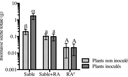 Figure 5 : Influence d’une inoculation avec Frankia sur la biomasse des plants d’aulnes  crispés poussant dans différents substrats