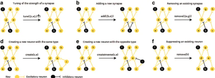 Fig. 4 Examples of cooperative behaviors for modifying the structure of the network. In (a), the strength of the synapse {c, e}, shown with a thicker yellow line, is increased
