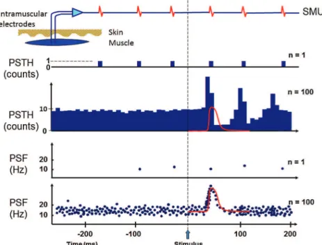 Fig. 1 PSF and PSTH methods: To examine how a sensory nerve (afferent) that transmit information from a sensory receptor (such as touch, temperature, etc) is connected to a motor neuron, we stimulate the nerve and record the response of the motor neuron to