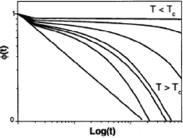Figure 7 : Variation de la fonction de corrélation en fonction du logarithme du temps