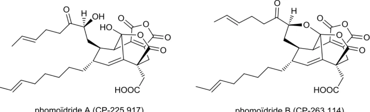 Figure 2.6: structure des phomoïdrides A et B 