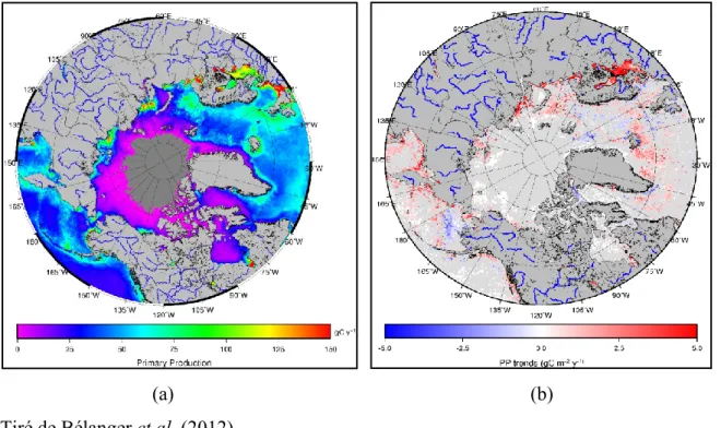 Figure  1.2  -  Production  primaire  annuelle  en  Arctique  et  sa  tendance.  (a)  Moyenne  climatologique  (1998-2008)  estimée  avec  des  données  de  chlorophylle  de  SeaWiFS