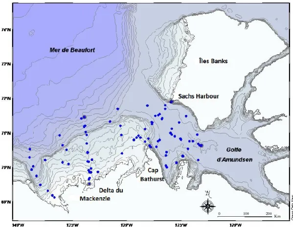 Figure  4.2  -  Localisation  des  stations  d’échantillonnage  dans  la  mer  de  Beaufort  lors  de  la  campagne  CASES 2004