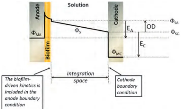 Fig. 1 Scheme of the distribution of the electrostatic potential (f) in an MEC. At the cathode–solution interface, the Nernst potential is given by the difference in electrostatic potential between the electrode material and the solution (E C = f MC  f SC