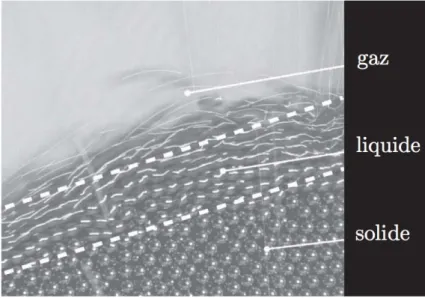 Figure 1.4 – Écoulement granulaire qui contient une phase solide, une phase liquide et une phase gazeuse à un même instant (image tirée de Andreotti et al