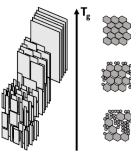 Figure 1.2 Schématisation qualitative de la graphitisation du carbone en fonction de la  température de graphitisation (T g ), adapté de [Sorlie et Oye,  2010] 