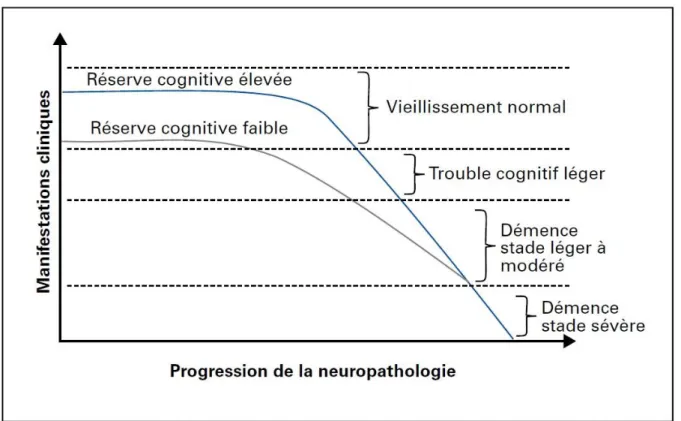 Figure 8 : Les personnes ayant une réserve cognitive élevée peuvent soutenir un niveau d’atteinte cérébrale plus  élevé avant de présenter des signes de détérioration cognitive [40]