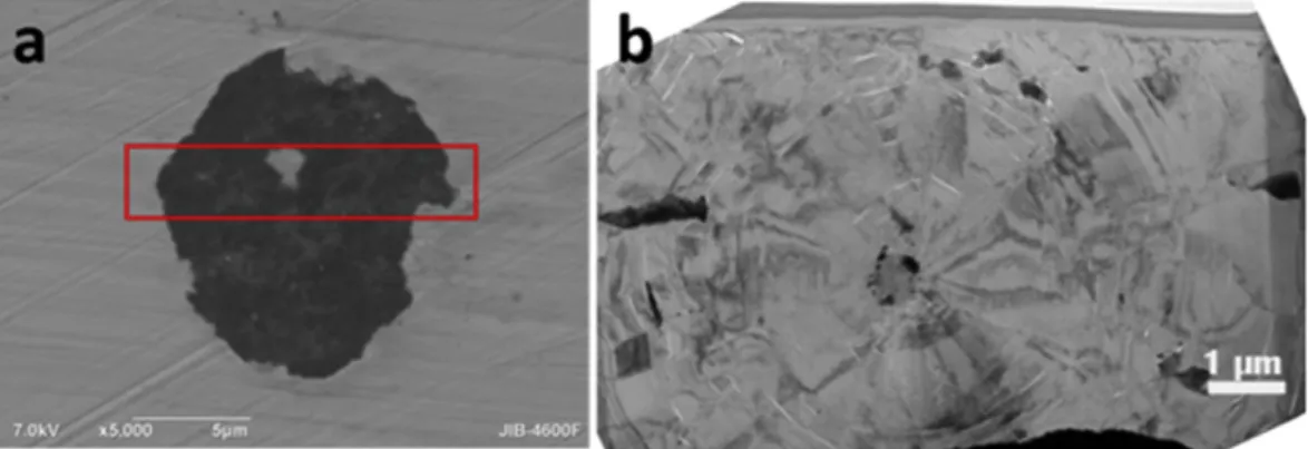 Fig. 1b shows that there is a slightly darker area in the cen- cen-tral part of the specimen, from which conical sectors seem to radiate