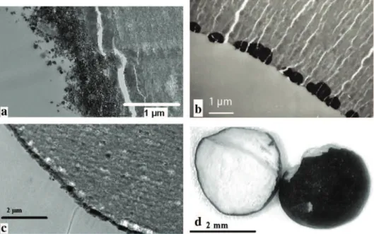 Fig. 5. EM or microscope micrographs for the various metallic nanoparticles; a) iron (S4); b) palladium (S7); c) rhodium (S9); d) manganese (S6).