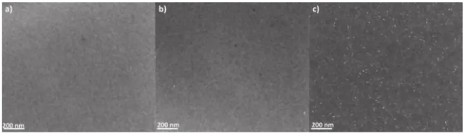 Fig. 8 AFM micrographs of epoxy –IL systems with diﬀerent IL concentration: (a) 10 phr, (b) 20 phr.