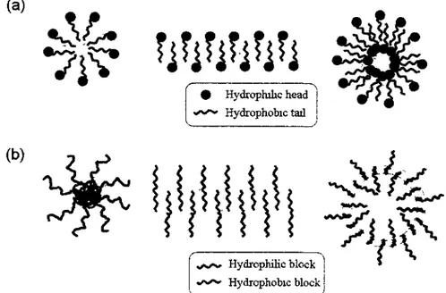 Figure 1. Schematic illustration of various nano-aggregates of amphiphilic surfactants (a)  and BCPs (b) in aqueous media (from left to right): spherical, cylindrical and vesicular  micelles