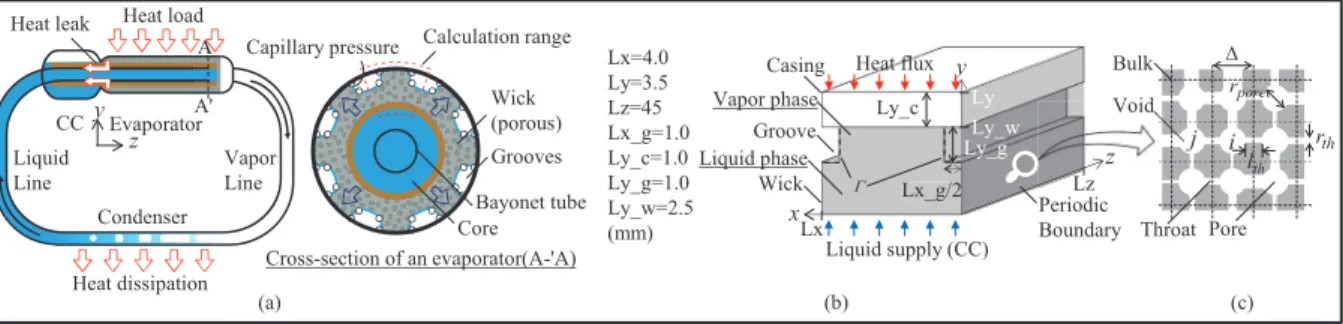 Figure 1. (a) Schematic of a loop heat pipe, (b) computational domain, and (c) representation of pore network model for flu- flu-id analysis in the wick.