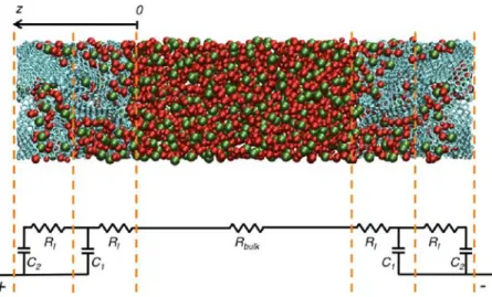 Figure 2 shows the time evolution of the average charge per carbon inside the positive electrode for each of the three diﬀerent porous materials studied after the potential diﬀerence is applied between the electrodes