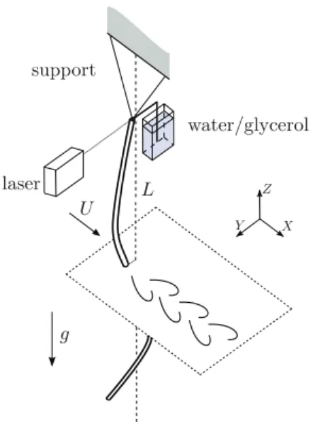 Fig. 7. Sketch of the experimental setup for the analysis of the energy harvesting by cross-flow VIV of a hanging cable in a uniform flow.