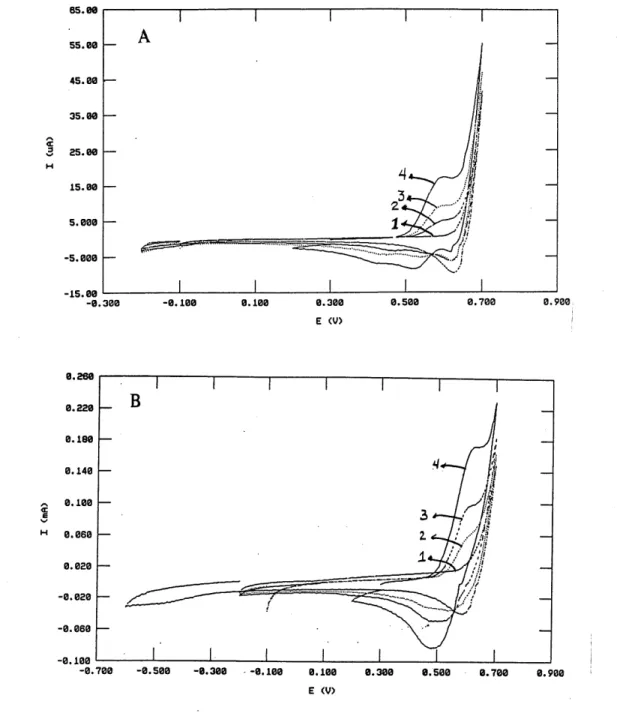 Figure 5. Voltamogramme cyclique de la 7?-phenylenediamine dans Ie