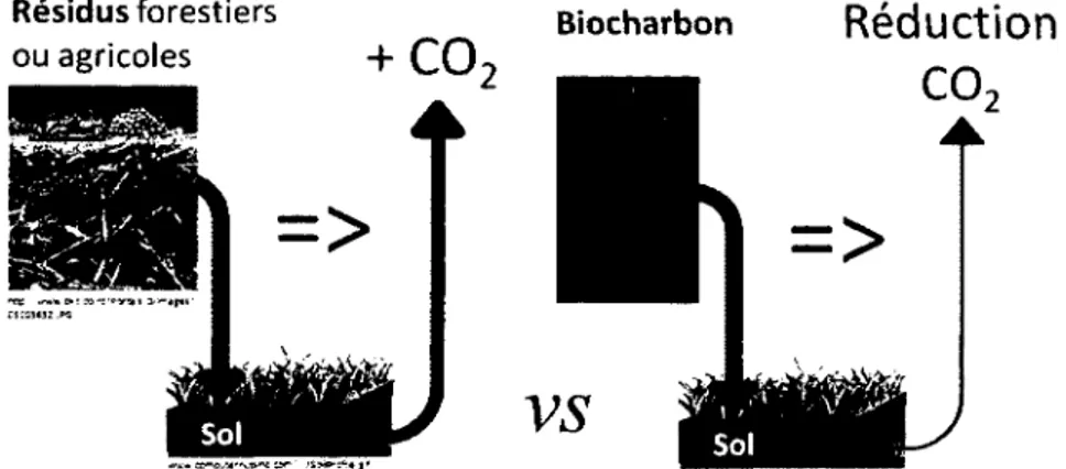 Figure 2.6  :  Emissions  de  CO 2   generees par  l ’application  reguliere  de biomasse  vs du biochar en sols