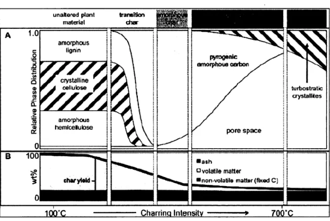 Figure 2.12  :  Evolution de la structure du charbon de biomasse en fonction de  la  temperature