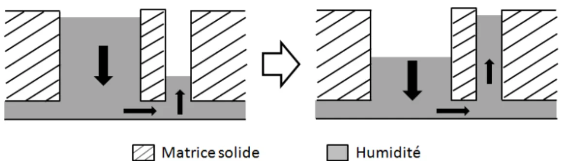 Figure 2.7 – Phénomène de transfert d’humidité par capillarité entre deux pores connectés de tailles différentes.