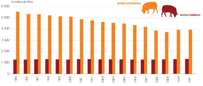 Fig. 1 : Evolution des effectifs français de brebis entre 1995 et 2011  Source : FranceAgriMer (2012) 