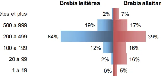 Fig. 2 : Répartition des brebis en fonction de la taille du troupeau en 2010  Source : FranceAgriMer (2012) 