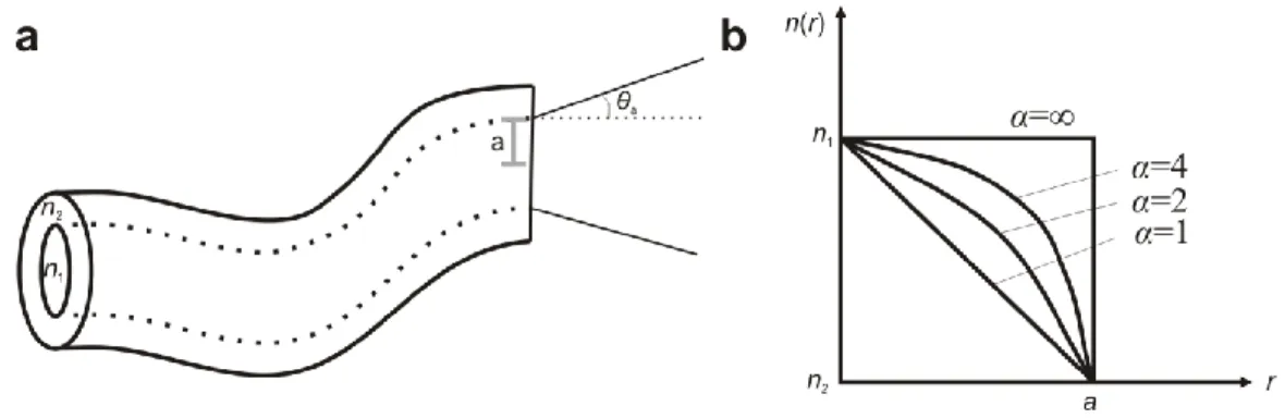 Figure 1.13 : La fibre optique. a) Schématisation d’une fibre optique munie d’un  cœur d’indice de réfraction n 1  et d’une gaine d’indice de réfraction n 2 